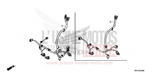 AUXILIARY CORD GL1800BDL de 2020